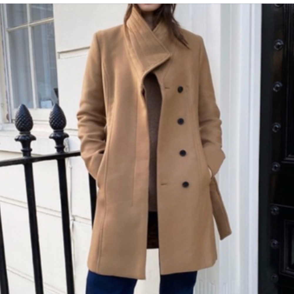 Aritzia Babaton Virgin wool coat